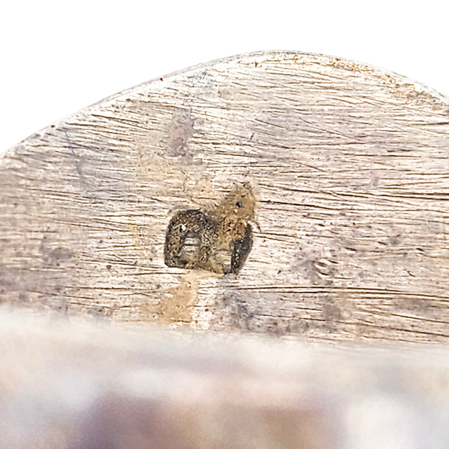 Sterling Silver Bear Signet Ring | Men’s Vintage Southwest Statement Jewelry